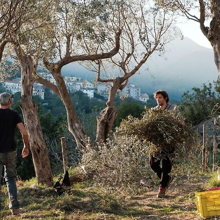 Ancient Estate "Il Trignano" Βίλα Vietri Εξωτερικό φωτογραφία