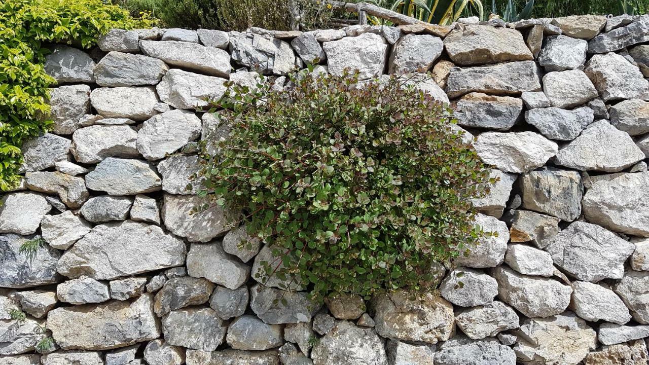Ancient Estate "Il Trignano" Βίλα Vietri Εξωτερικό φωτογραφία