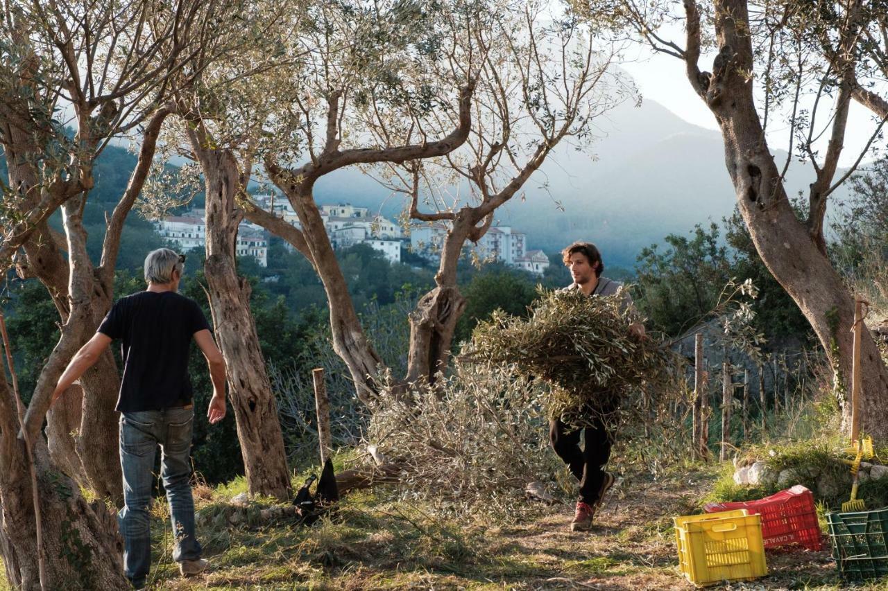 Ancient Estate "Il Trignano" Βίλα Vietri Εξωτερικό φωτογραφία