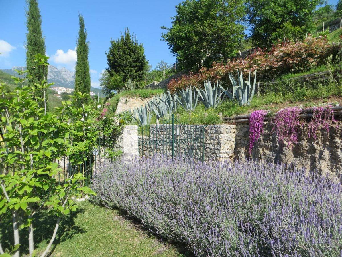 Ancient Estate "Il Trignano" Βίλα Vietri Εξωτερικό φωτογραφία